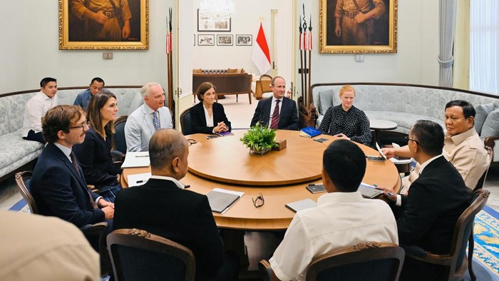 Prabowo Terima Delegasi Imperial College London: Rencana Bangun 10 Medical University dengan Standar Dunia