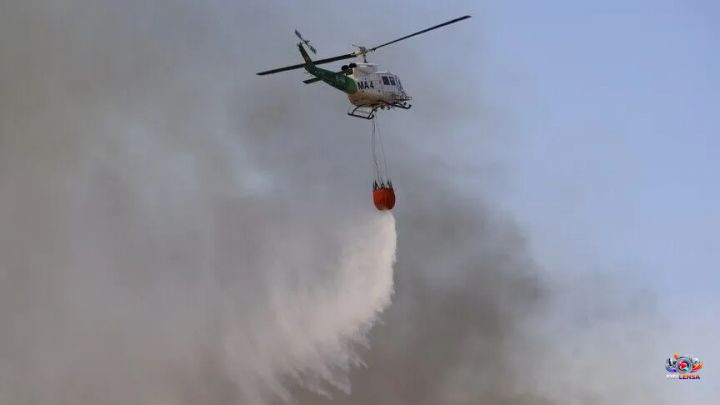 Kebakaran Hutan Terbesar di Spanyol Sepanjang 2026 Hanguskan 15.800 Hektare, Ribuan Warga Dievakuasi