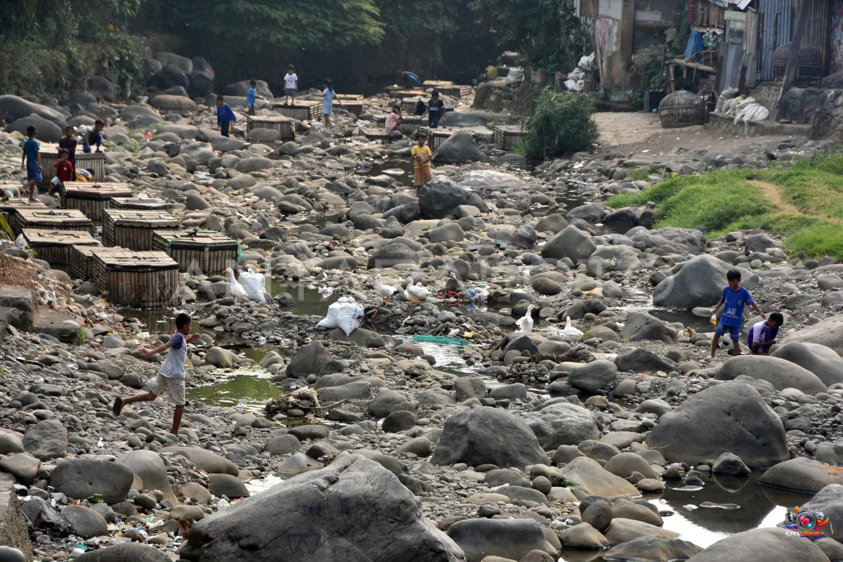Debit Sungai Ciliwung di Bogor Menyusut Akibat Kemarau, Dasar Sungai Dipenuhi Batuan dan Sampah