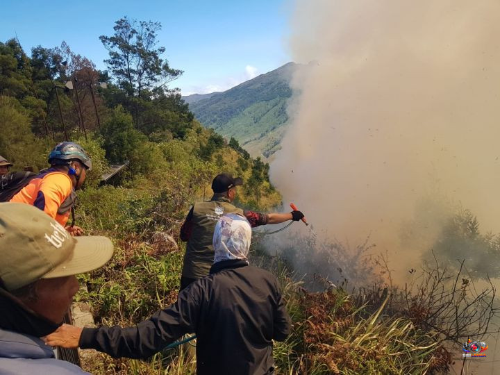 Medan Curam Hambat Pemadaman Karhutla di TNBTS, Petugas Berjuang Cegah Api Meluas