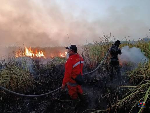 Kebakaran Melanda Taman Nasional Way Kambas, Lebih dari 673 Hektare Lahan Terbakar