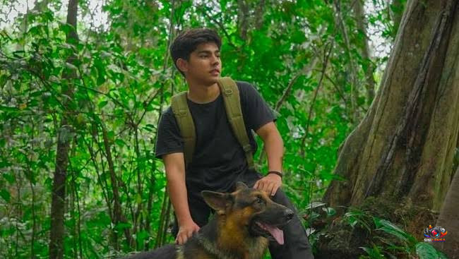 Andrew Kalaweit Angkat Bicara soal Karhutla Kalimantan: “Bukan Fenomena Alamiah”
