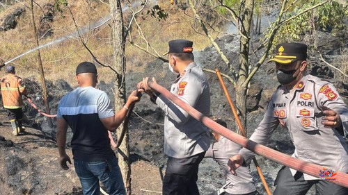Kebakaran Kembali Landa Gunung Batur, Dua Hektare Kawasan Hutan Hangus dalam Tiga Jam