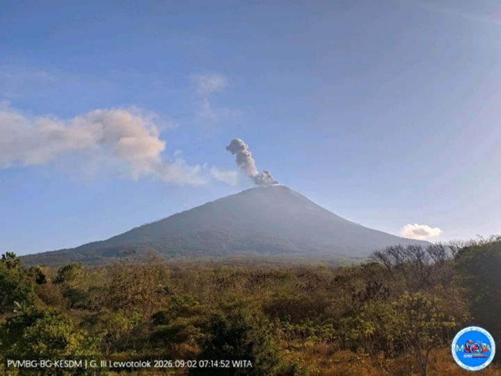 Gunung Ili Lewotolok Kembali Erupsi Dua Kali, Warga Diminta Jauhi Zona Bahaya