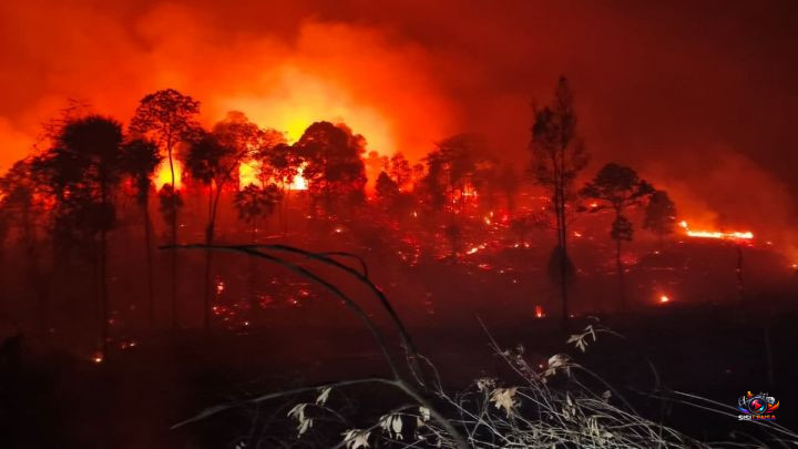 IKN Kembali Membara, Ratusan Hektare Hutan Tahura Bukit Soeharto Dilalap Api