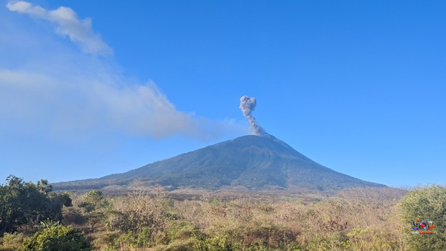 Gunung Ili Lewotolok Kembali Erupsi, Letusan Terkuat Capai 600 Meter di Atas Puncak