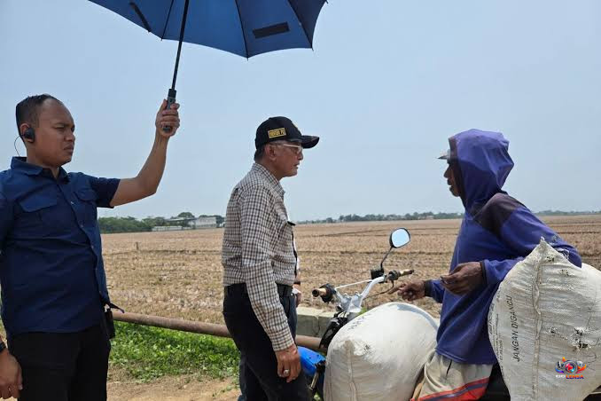 Sawah 1.000 Hektare Kering 7 Bulan, Menteri PU Dody Hanggodo Minta Maaf kepada Petani Bekas